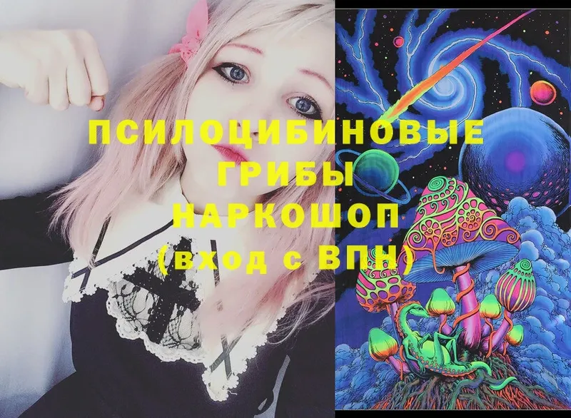 ссылка на мегу ТОР  Киржач  Галлюциногенные грибы Psilocybe  где можно купить  